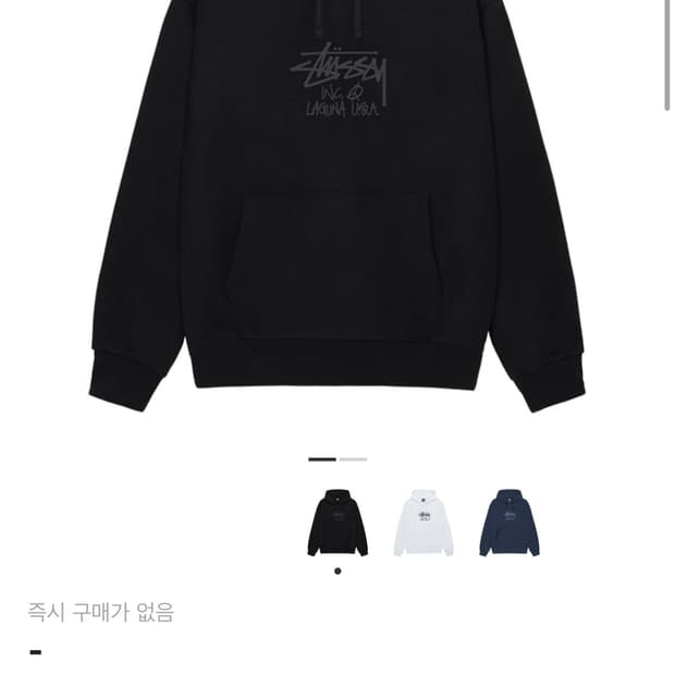 스투시 라구나 USA 후드티 s