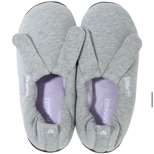 코이세이오 수부 00 버니