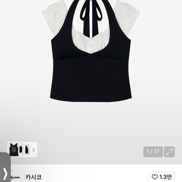 카시코 홀터 탑