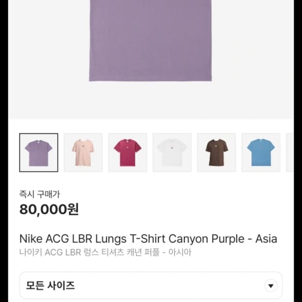 나이키 ACG LBR 캐년 퍼플 티셔츠