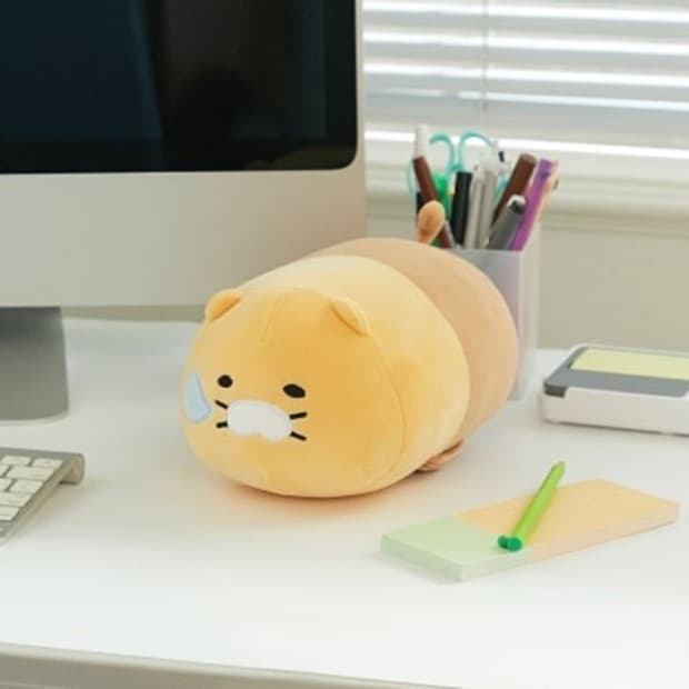 팔배게 춘식이