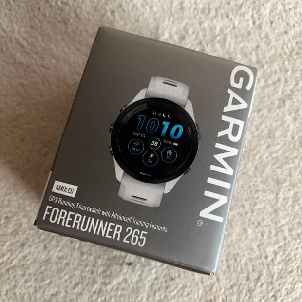 가민 포러너 265