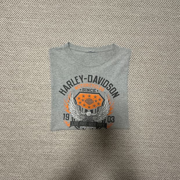 HARLEY DAVIDSON vintage t-shirt