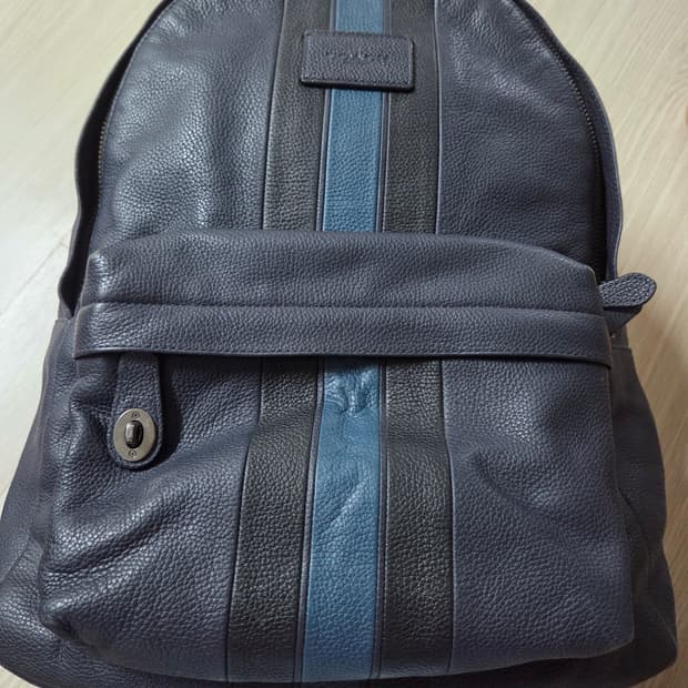 코치 가죽 백팩