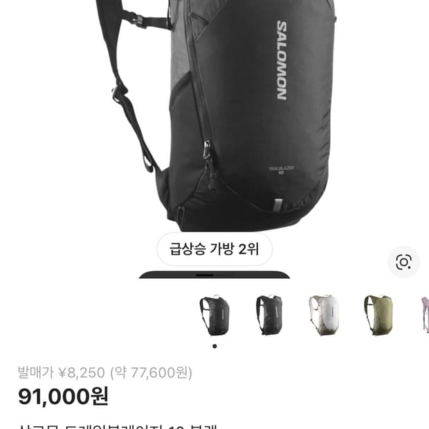 살로몬 트레일블레이저 10 블랙