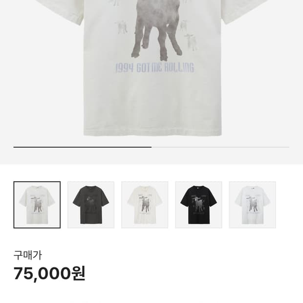 4)폴리테루 1994롤링 염소티