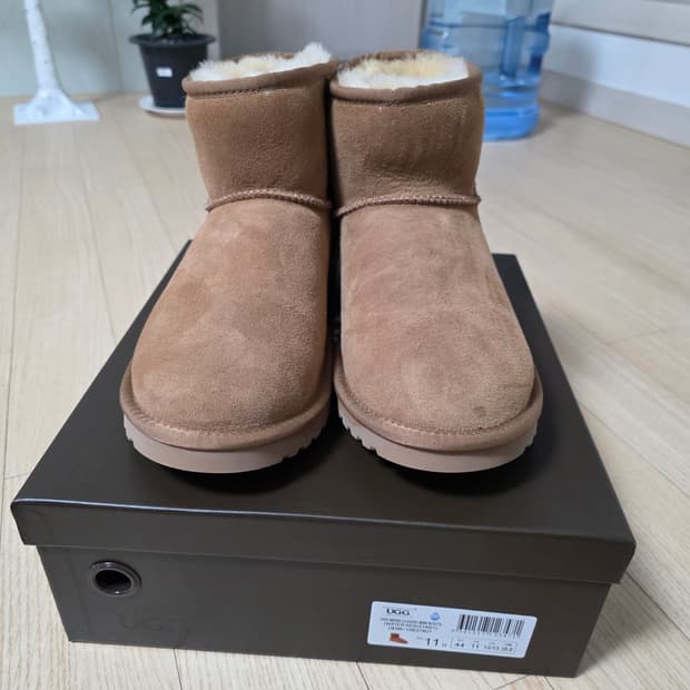 호주 어그 290 입니다 새상품