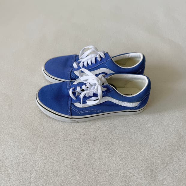 [235]반스(Vans) 스웨이드 스케이터 로우 