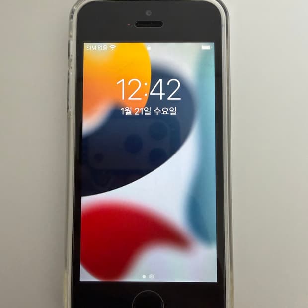 아이폰 SE 1세대 스페이스 그레이 (배터리 100%)