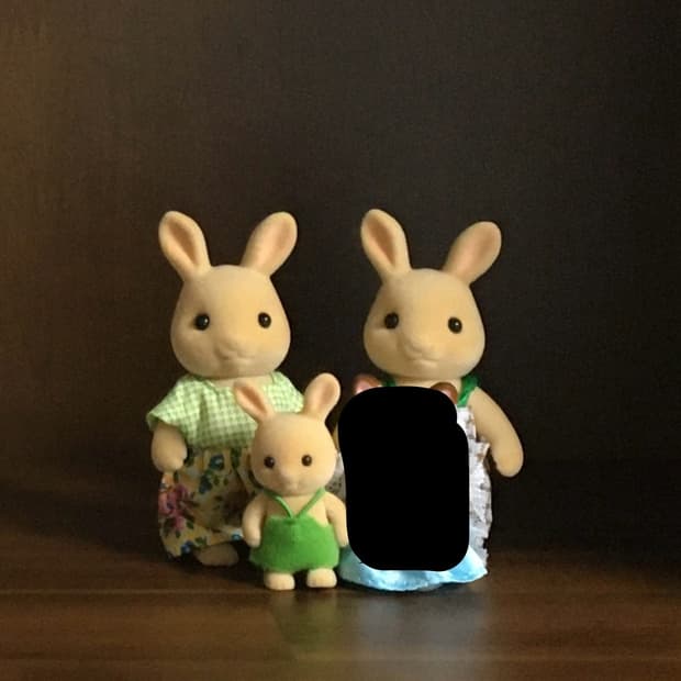 실바니안 패밀리 판매합니다