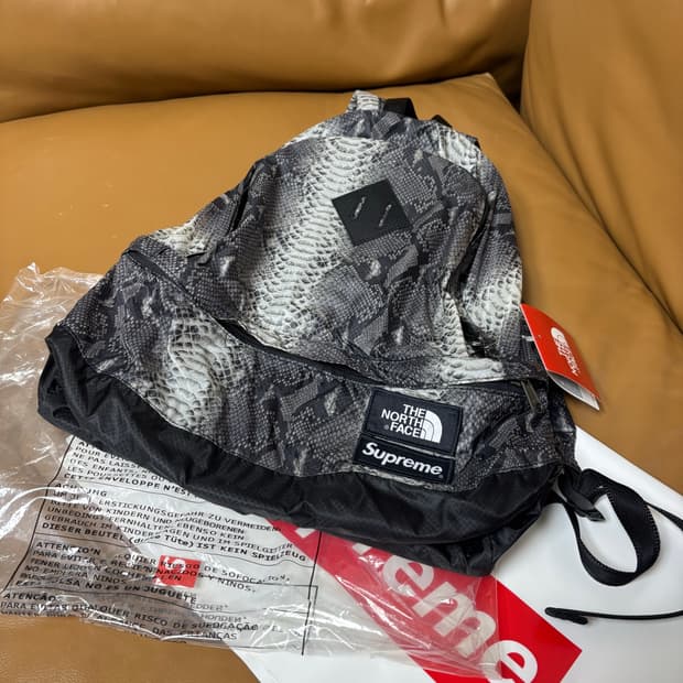 Supreme 슈프림x노스페이스 스네이크 백팩 가방 (Snake)