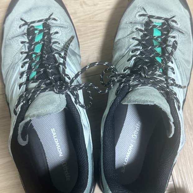 살로몬 x-alp 레더그린 290