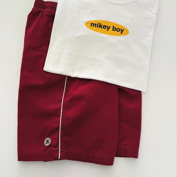 90s Stussy Shorts