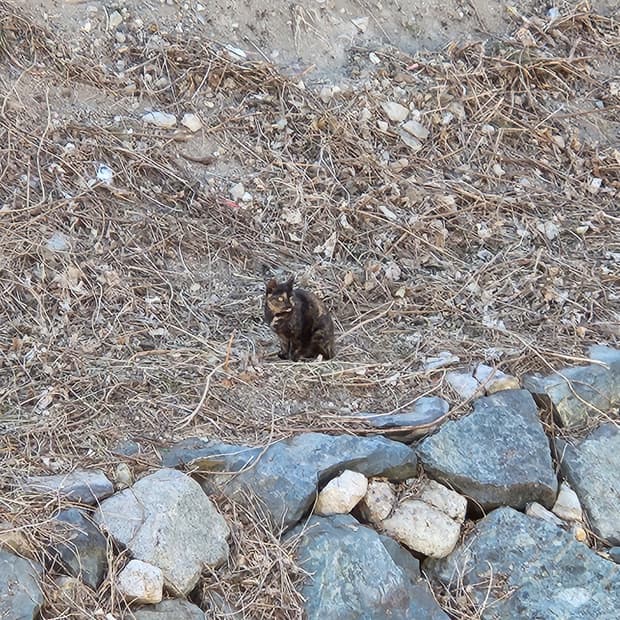 마지막 정리 타임세일