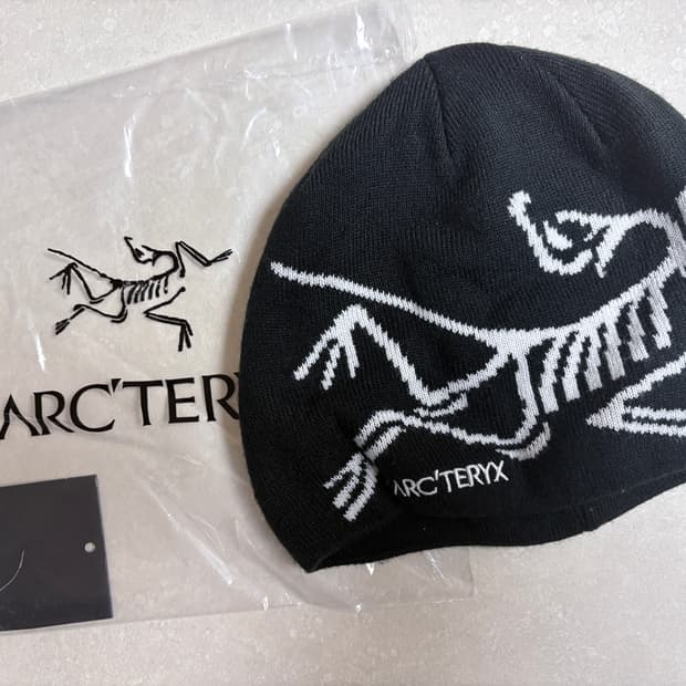 아크테릭스 비니