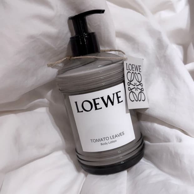 로에베 토마토 리프 바디 로션