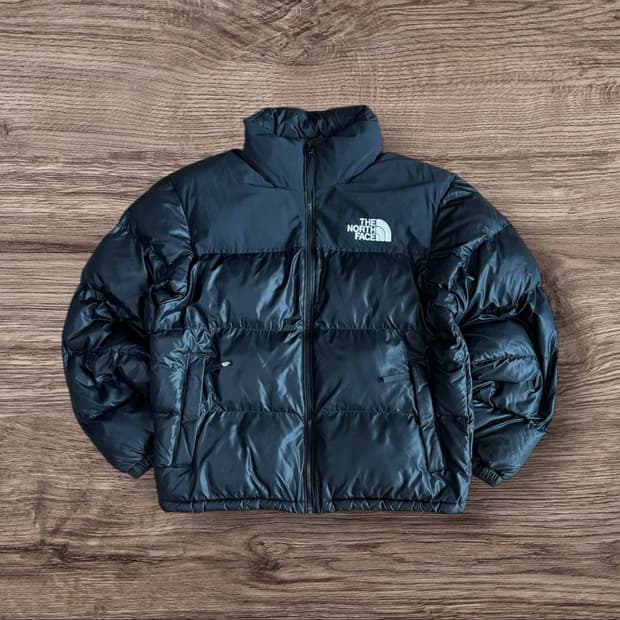 The North Face nuptse 700 on-ball jacket