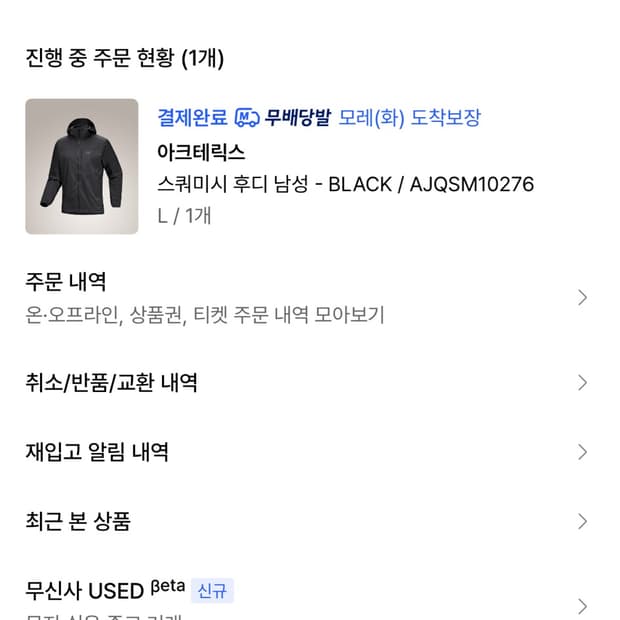 아크테릭스 스쿼미시 블랙 L