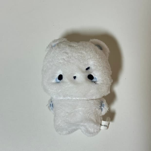 루시 lucy 신광일 빵일이 인형