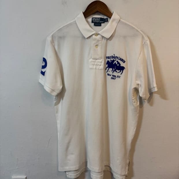 폴로 빅포니 카라 L