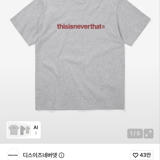 디스이즈네버댓 T-Logo Tee Heather Grey