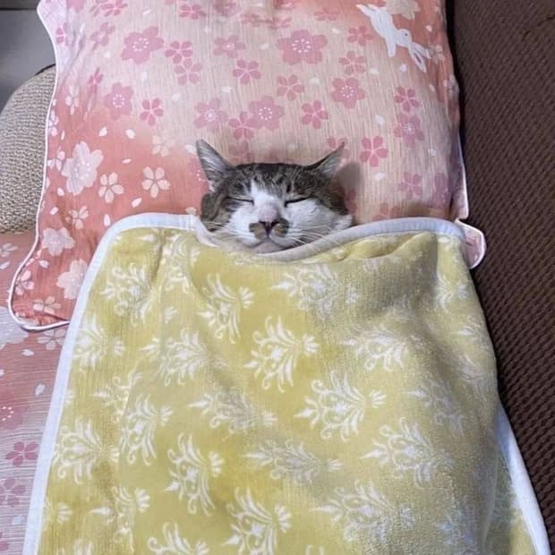 username1님 결제창