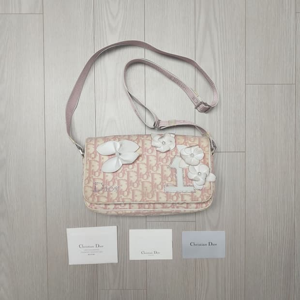 디올 오블리크 걸리 새들 플라워 크로스백