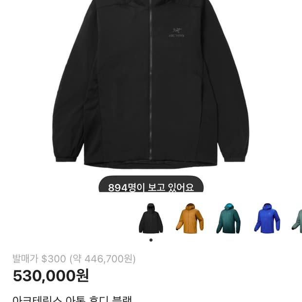 아크테릭스 아톰 후디