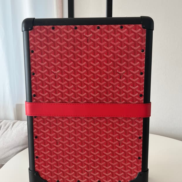 고야드 기내용캐리어