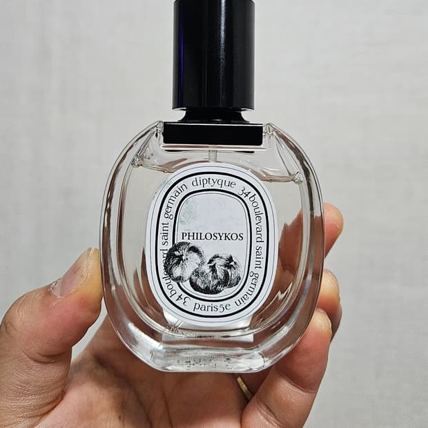 딥디크 오 드 뚜왈렛 필로시코스 50ml