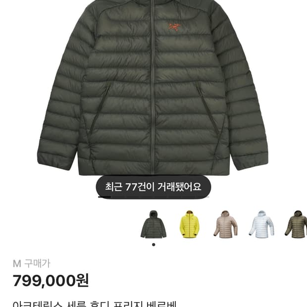 아크테릭스 세륨 후디 포리지 베르베 M