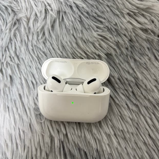 애플 애어팟 프로 1세대