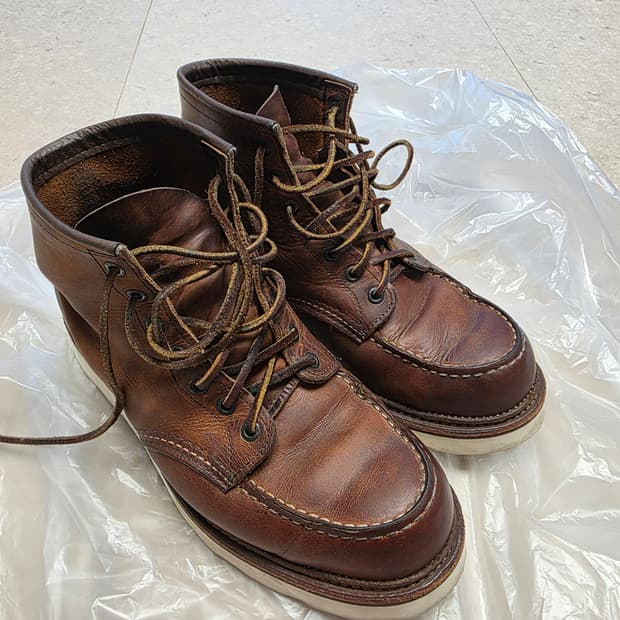 레드윙 1907 9.5D 사이즈 판매합니다