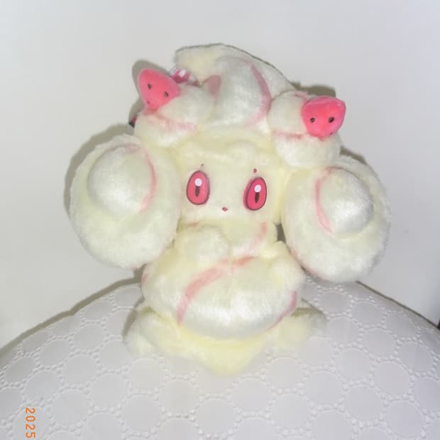 nan님 개인 결제창