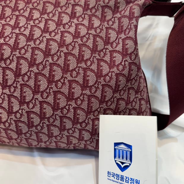 크리스찬 디올 오블리크 숄더백