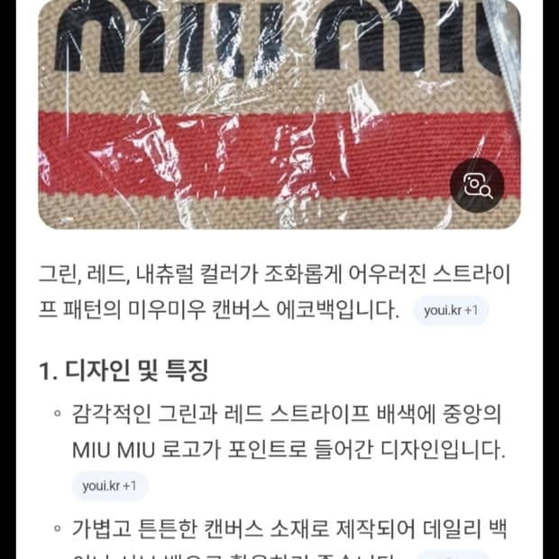 미우미우캔퍼스 스트라이프 에코백