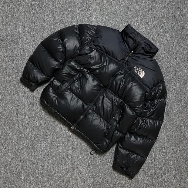 🌊TNF Nuptse Down