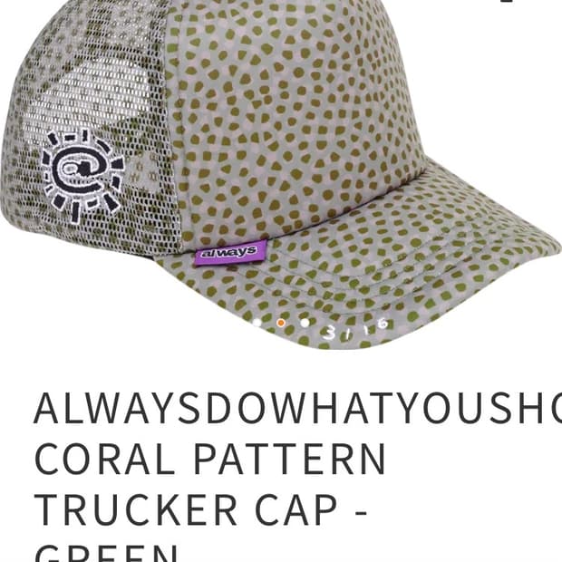 Always do what you should do mesh cap