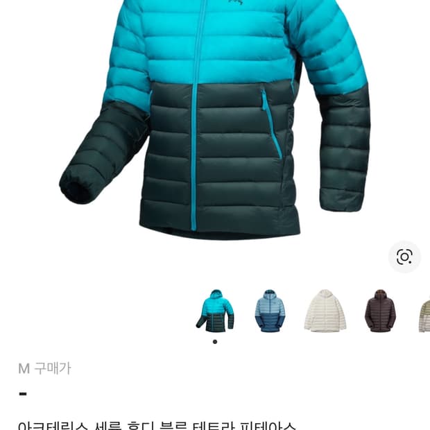 아크테릭스 세륨 후디 블루 테트라 피테아스