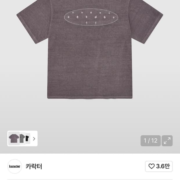 카락터 피그먼트 반팔티 