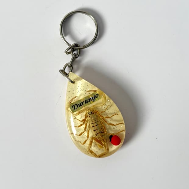 전갈 아크릴키링