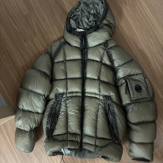 디디쉘 펀가이그레이 