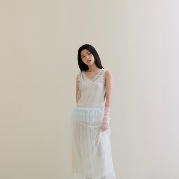 플레타 드레스 Lowrise Tulle Dress