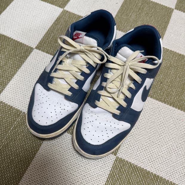 나이키 덩크 로우 레트로 발레리안 블루 270