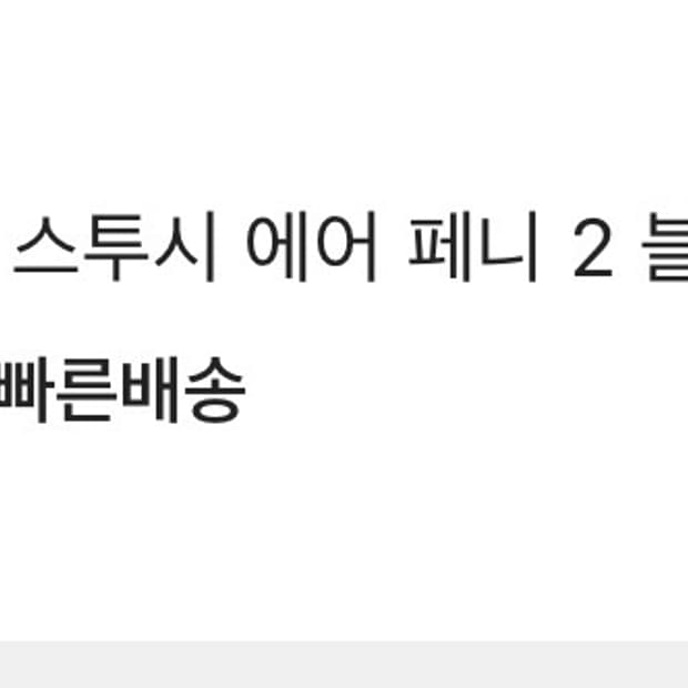 나이키 스투시 에어페니2