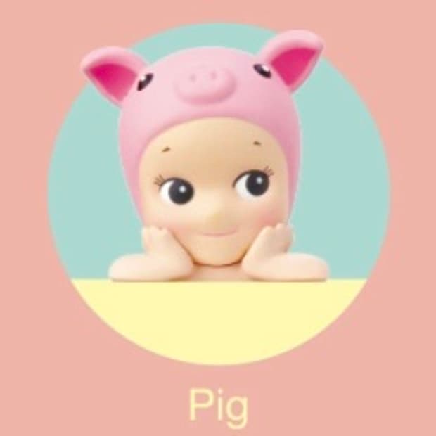 소니엔젤 히퍼 돼지