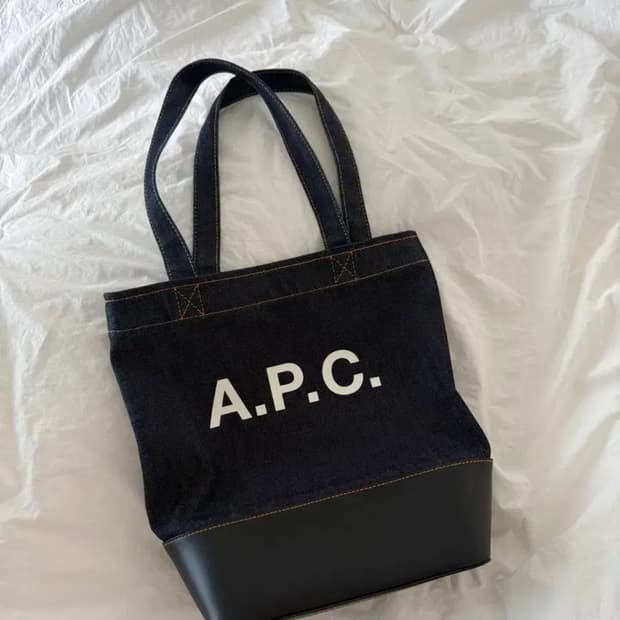 A.P.C 아페쎄스몰 악셀백 CODDP M61568 IAK
