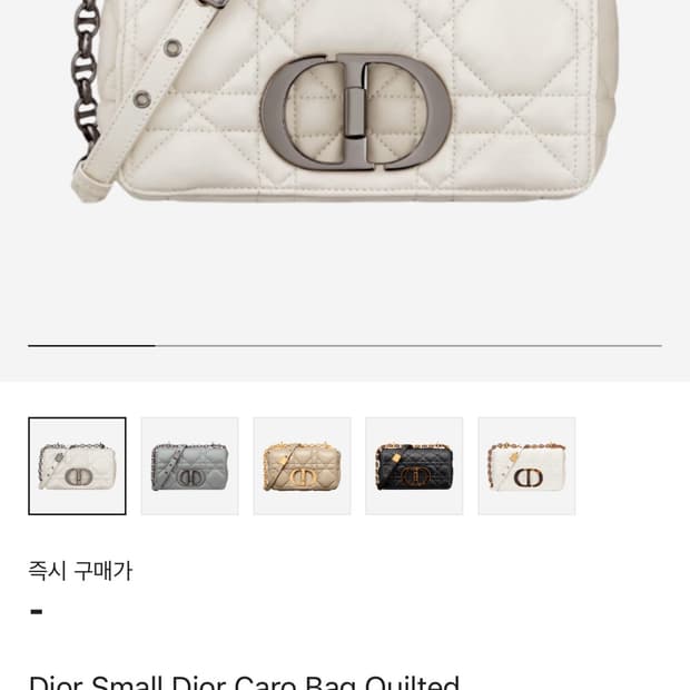 디올 카로백 스몰 