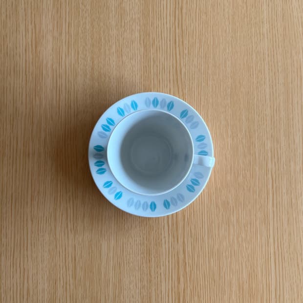 Fairwood-Schonwald cup & saucer