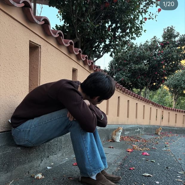 렉토 헨리넥 니트 브라운 L 팝니다